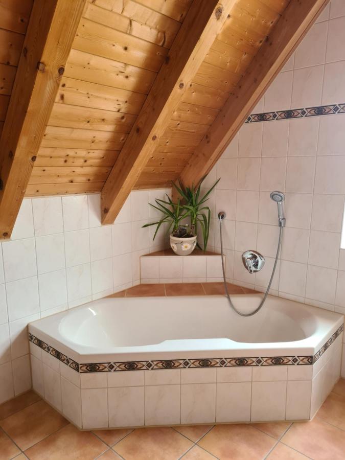 Ferienwohnung Helga Thalmassing  Extérieur photo